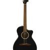 Fender Newporter Special