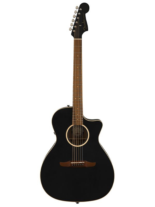 Fender Newporter Special