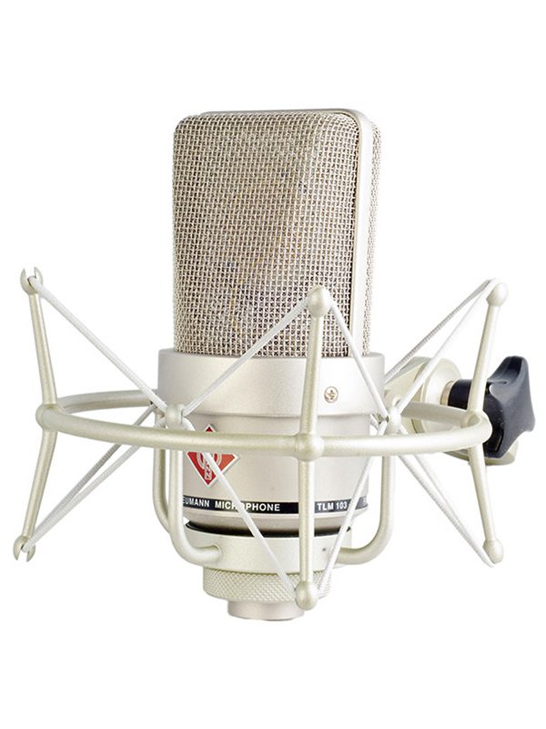 Neumann TLM 103 With Shockmount