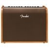 Fender Acoustic 100