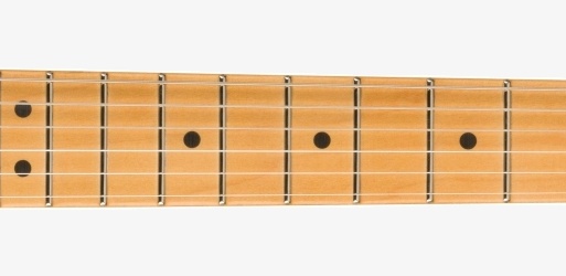 گیتار الکتریک فندر Fender Player Plus Stratocaster