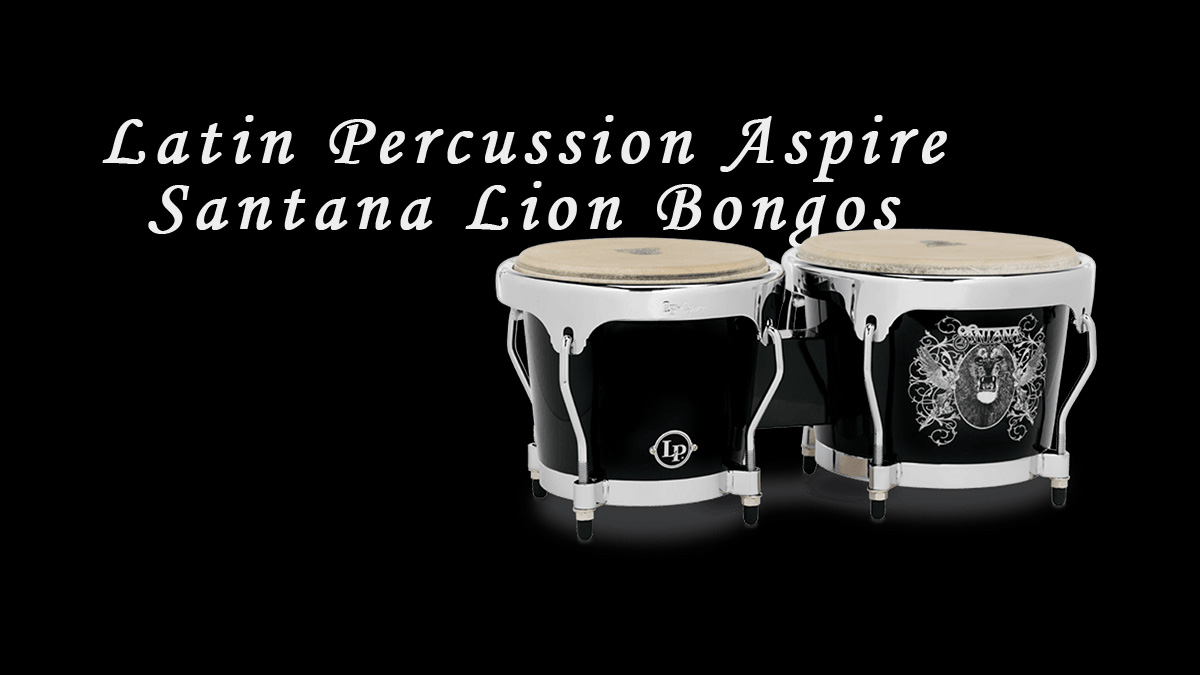 Latin Percussion Aspire Santana Lion Bongos