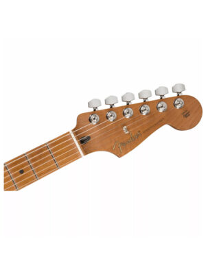 Fender Limited Edition Player Stratocaster Roasted Maple Fingerboard 2-Color Sunburst