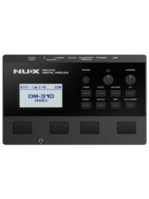 NUX DM-310