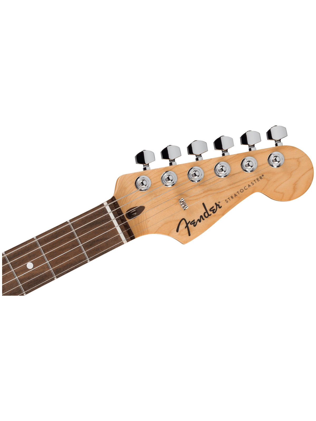 گیتار الکتریک فندر استاندارد استرتوکستر