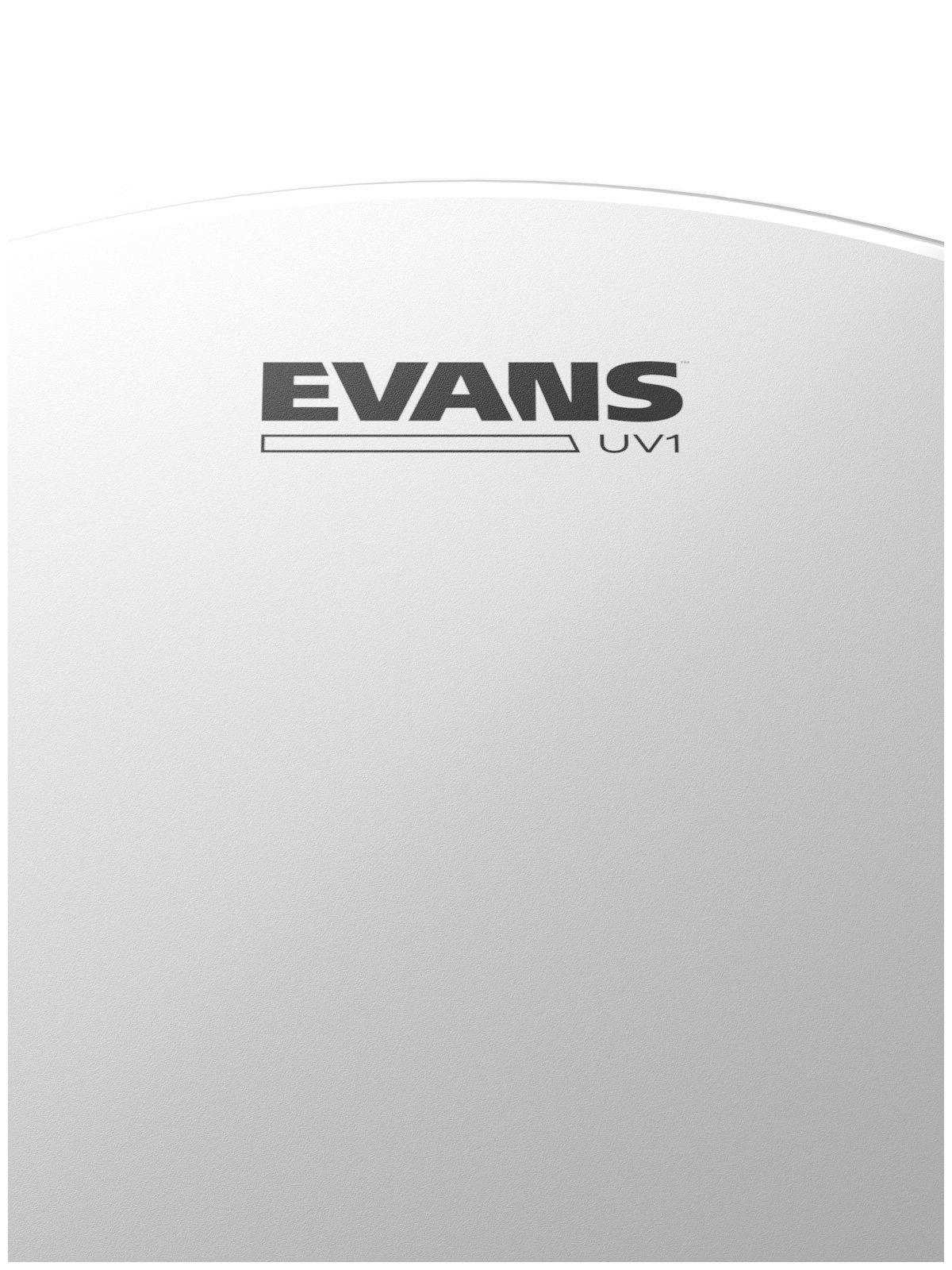 Evans Hydraulic Red Rock Tom Drumhead Pack (10", 12", 16") with 14" UV1 Snare Batter - Image 6