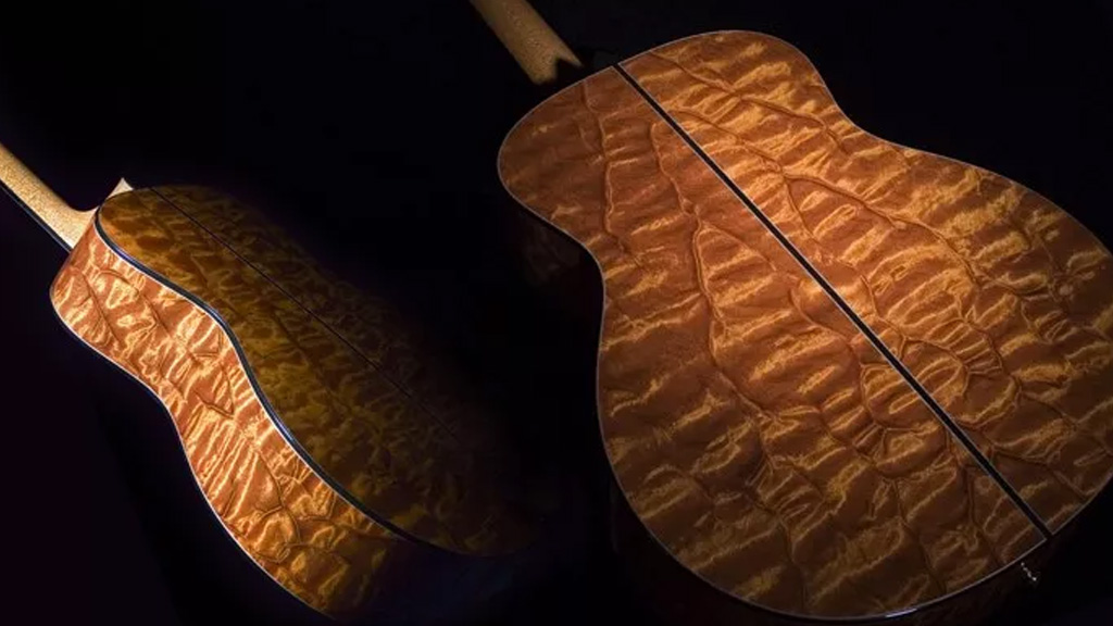 «درخت»: مشهورترین تُنوود دنیا!