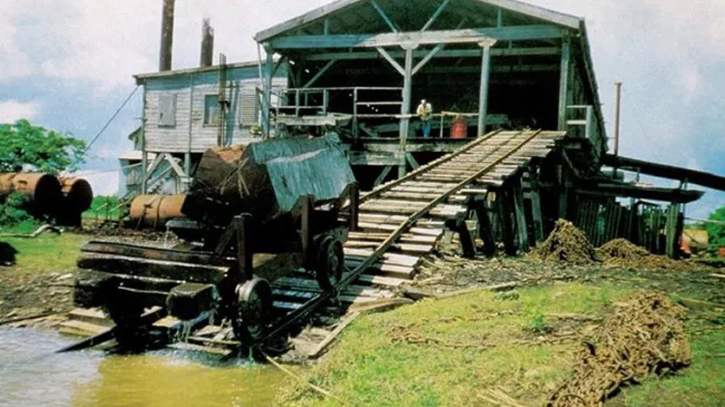 کارگاه چوب بری