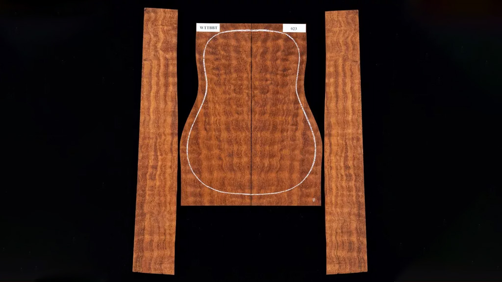 «درخت»: مشهورترین تُنوود دنیا!