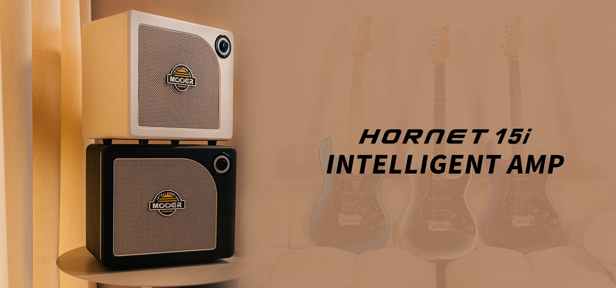 Mooer Hornet 15i