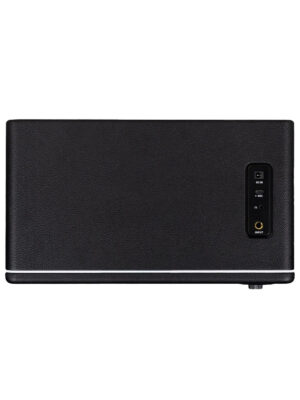 Mooer Hornet 30i Black