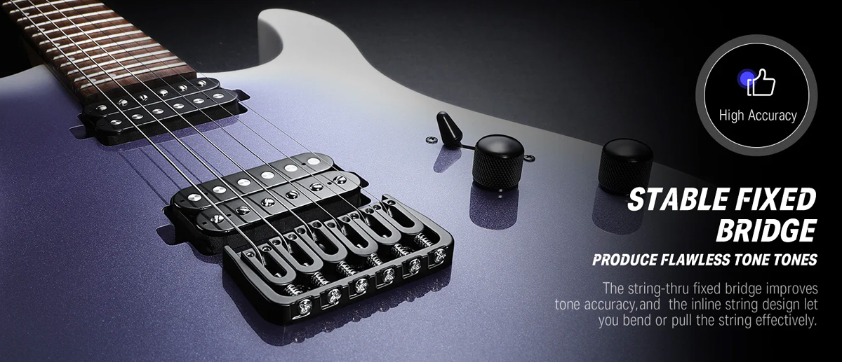 Donner DMT-101B Electric Guitar Kit Purple Burst