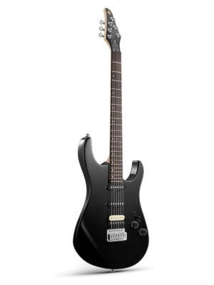 گیتار الکتریک دانر